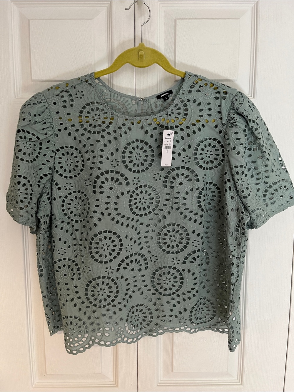 Express Eyelet Lace Short Sleeve Top in Sage